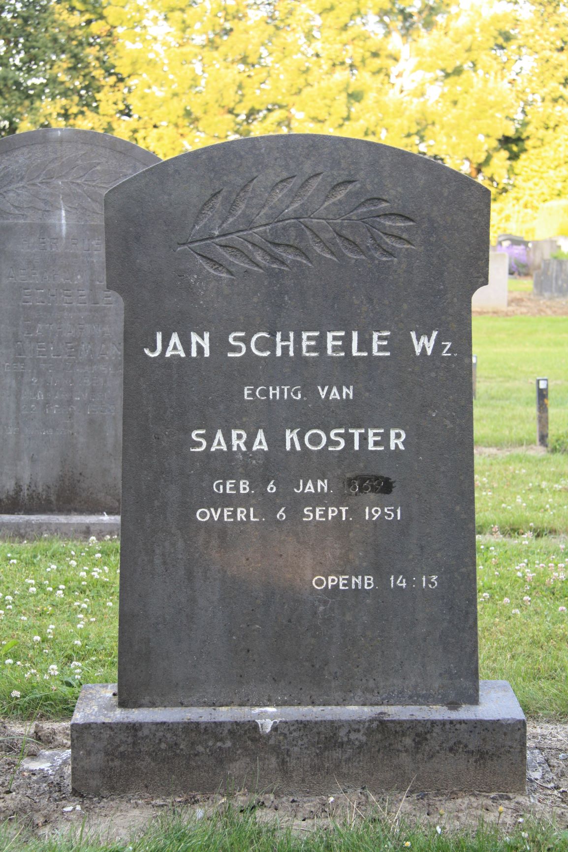 Jan Scheele