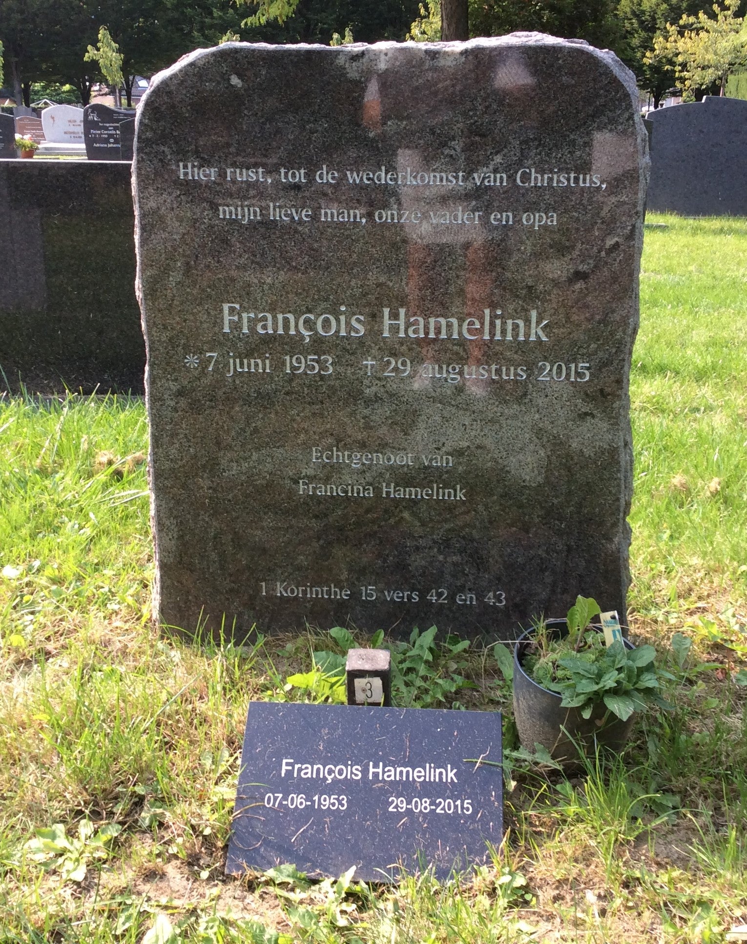 François Hamelink