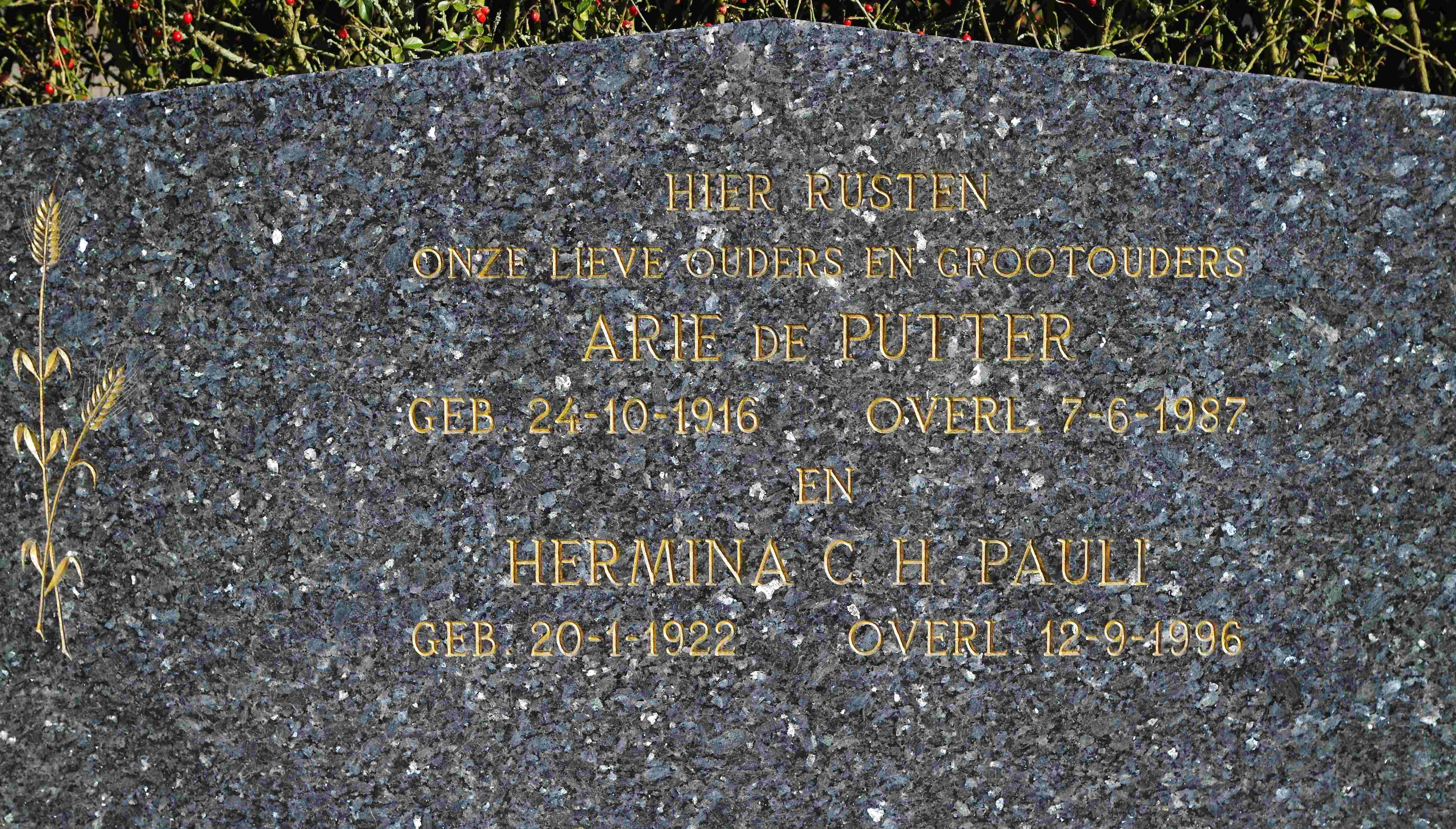 Hermina Catharina Henrica Pauli