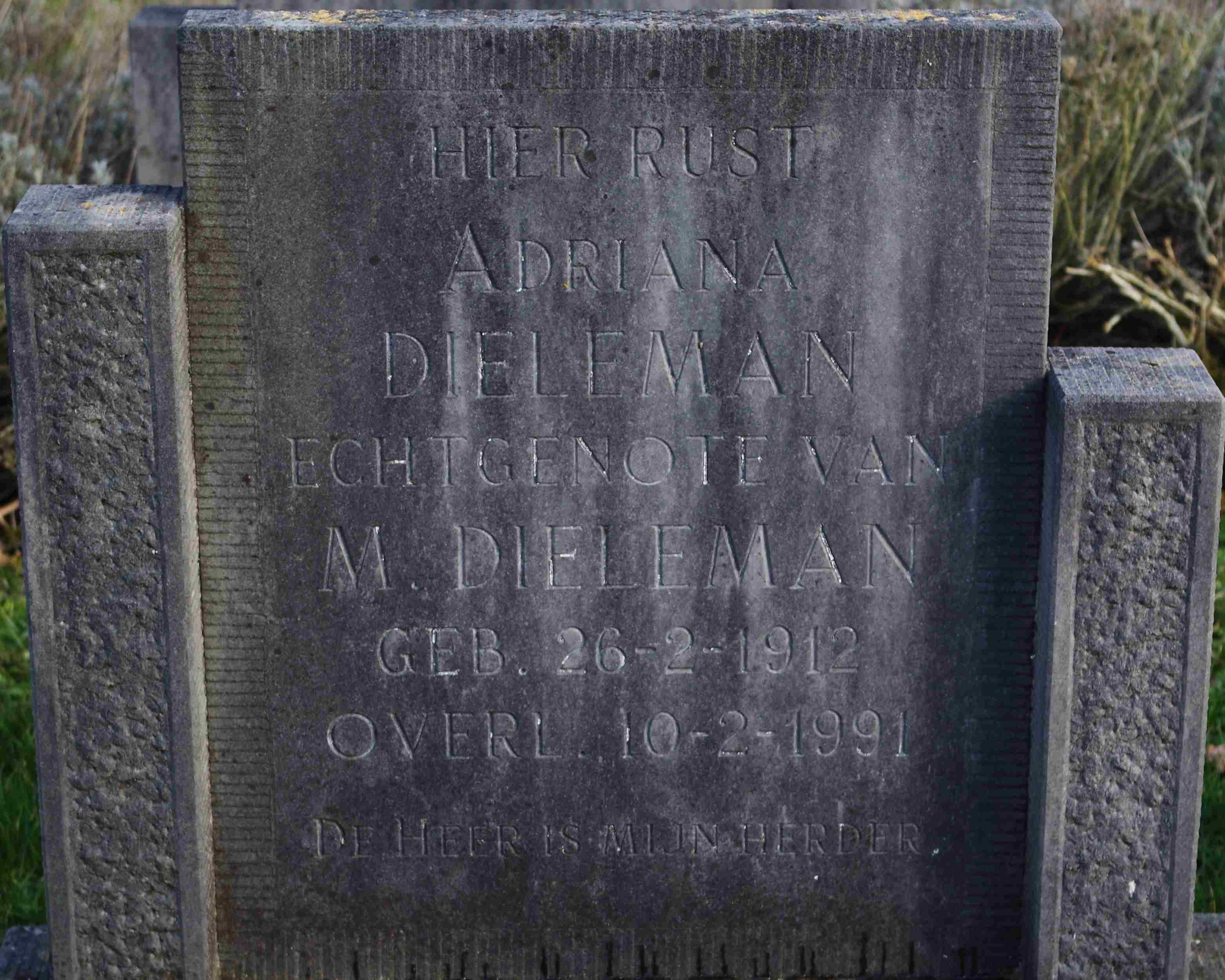 Adriana Dieleman