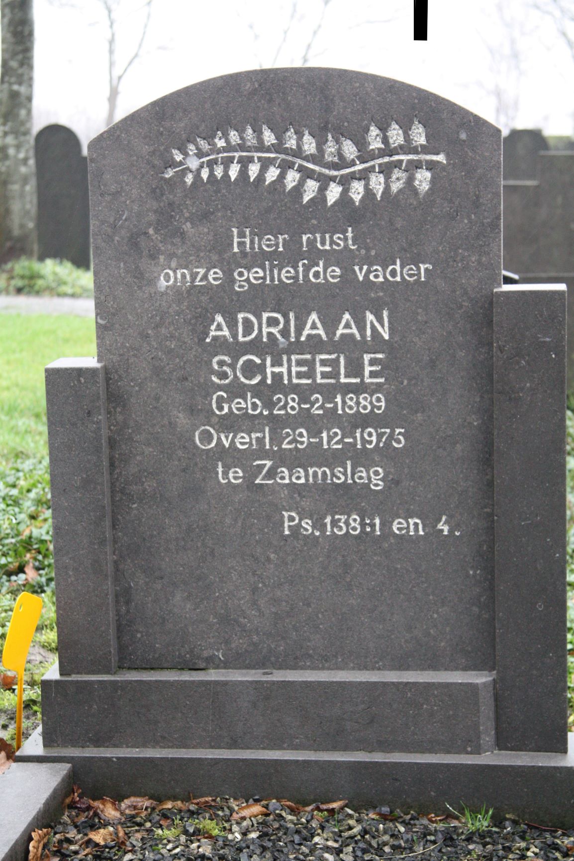 Adriaan Scheele
